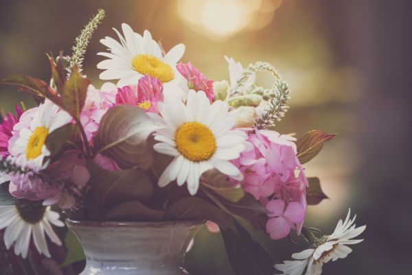 20 Romantic Date Night Ideas at Home – relationship guide image